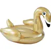 Image de TOP Cygne