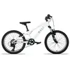 Image de Rali Vtt Pro 1 20´´ Ty300 2025
