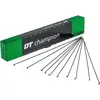 Image de DT Swiss Rayons Champion noir 2x262mm