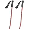 Image de Scott Bâtons Team Issue Gs