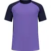 Image de Odlo, Hommes, T-shirt fonctionnel, X-Alp Trail T-Shirt Crew Neck S/S (XL), Violet, Bleu, XL