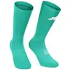 Image de Assos Chaussettes Racing S11