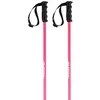 Image de Faction Skis Bâtons Lite