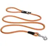 Image de Curli Laisse Stretch Comfort (L, Chien, Général, Promenade), Collier + laisse