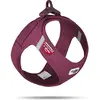 Image de Curli Air-Mesh (S, Chien, Général), Collier + laisse