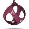 Image de Curli Harnais Vest Air-Mesh (M, Chien, Général), Collier + laisse