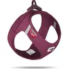 Image de Curli Harnais Vest Air-Mesh L, Ruby (L, Chien, Général), Collier + laisse