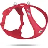Image de Curli Belka Comfort Harnais pour chien All New Rouge 2XL (XXL, Chien, Général), Collier + laisse