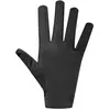Image de Suarez Gants Summit