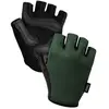Image de Suarez Gants Courts Sallow 2.4