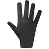 Image de Suarez Gants Summit