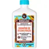 Image de Steinbach, Shampoing, Lola Cosmetics Be(M)dita Ghee Papaya and Vegetable Keratin Reconstruction Shampooing 250ml (250 ml)