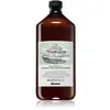 Image de Davines, Shampoing, Détexifiant Naturaltech (Shampoing liquide, 1000 ml)