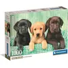 Image de Clementoni Three Labs - 1000 pièces (1000 pièces)