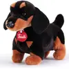 Image de Trudi Teckel (25 cm)