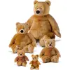 Image de Trudi Ours Ettore assis (24 cm)