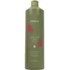 Image de Echosline, Shampoing, Colour Care Shampooing szampon do w osów farbowanych i po zabiegach 1000ml (Shampoing liquide, 1000 ml)