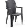 Image de ProGarden, Chaises de jardin, Fauteuil empilable