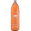 Image de Farmavita, Shampoing, Shampooing ARGAN SUBLIME 250 ml (Shampoing liquide, 250 ml)