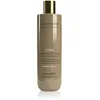 Image de Farmavita, Shampoing, Shampoing Nourrissant Boucles Améthyste (Shampoing liquide, 250 ml)