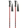 Image de Masters Bâtons Carbon Rtl