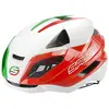 Image de Salice Casque Levante