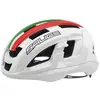 Image de Salice Casque Gavia