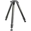 Image de Gitzo GT5533S (Carbone), Trépied, Gris