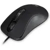 Image de Atlantis Land OptiStar USB Souris droite USB Type A Optique 1000 DPI, Souris, Noir