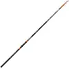 Image de Fishing Ferrari Canne Bolognaise Talis Trout Tele 2 3.90 m