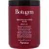 Image de Fanola, Masque capillaire, Botugen (1000 ml)