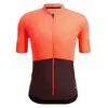 Image de Santini Maillot à Manches Courtes Colore Riga