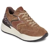 Image de Baskets basses NeroGiardini I617372D femme