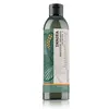 Image de eLGON green Imagea Absolute Shampoo