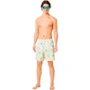 Image de Oakley Apparel Short De Bain Canary Palms Rc 18''
