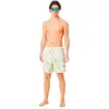 Image de Oakley Apparel Short De Bain Canary Palms Rc 18´´