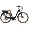 Image de Adriatica Vélo électrique Age M81