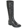 Image de Bottes plates Geox D FELICITY femme