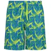 Image de Cmp Slip De Bain Boxer 34r9087