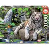 Image de Educa Tigres royaux du Bengale (1000 pièces)