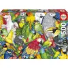 Image de Educa Puzzle Perroquets 500 pièces (500 pièces)