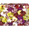 Image de Educa 19558 Puzzle 1000 Pcs. Collage d'orchidées (1000 pièces)