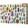 Image de Educa Puzzle Käfer 500 dls (500 pièces)