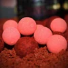 Image de Pro Elite Baits Paquet D´appâts De Pêche Gold Session Mûrier Sang