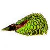 Image de Baetis Plume Lady Amherst