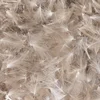 Image de Baetis Plume Cdc Wild