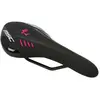 Image de Msc Selle 2017 Star