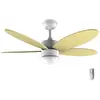 Image de Cecotec Ventilateur De Plafond Energy Silence Aero 4260 40w