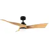 Image de Cecotec Ventilateur De Plafond Energysilence Aero 5285