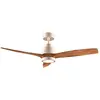 Image de Cecotec Ventilateur De Plafond Energysilence Aero 5295